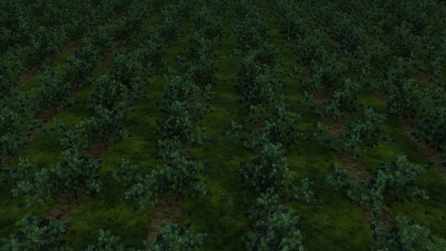 blueberry garden Modèle 3D .c4d .max .obj .3ds .fbx .stl .blend 