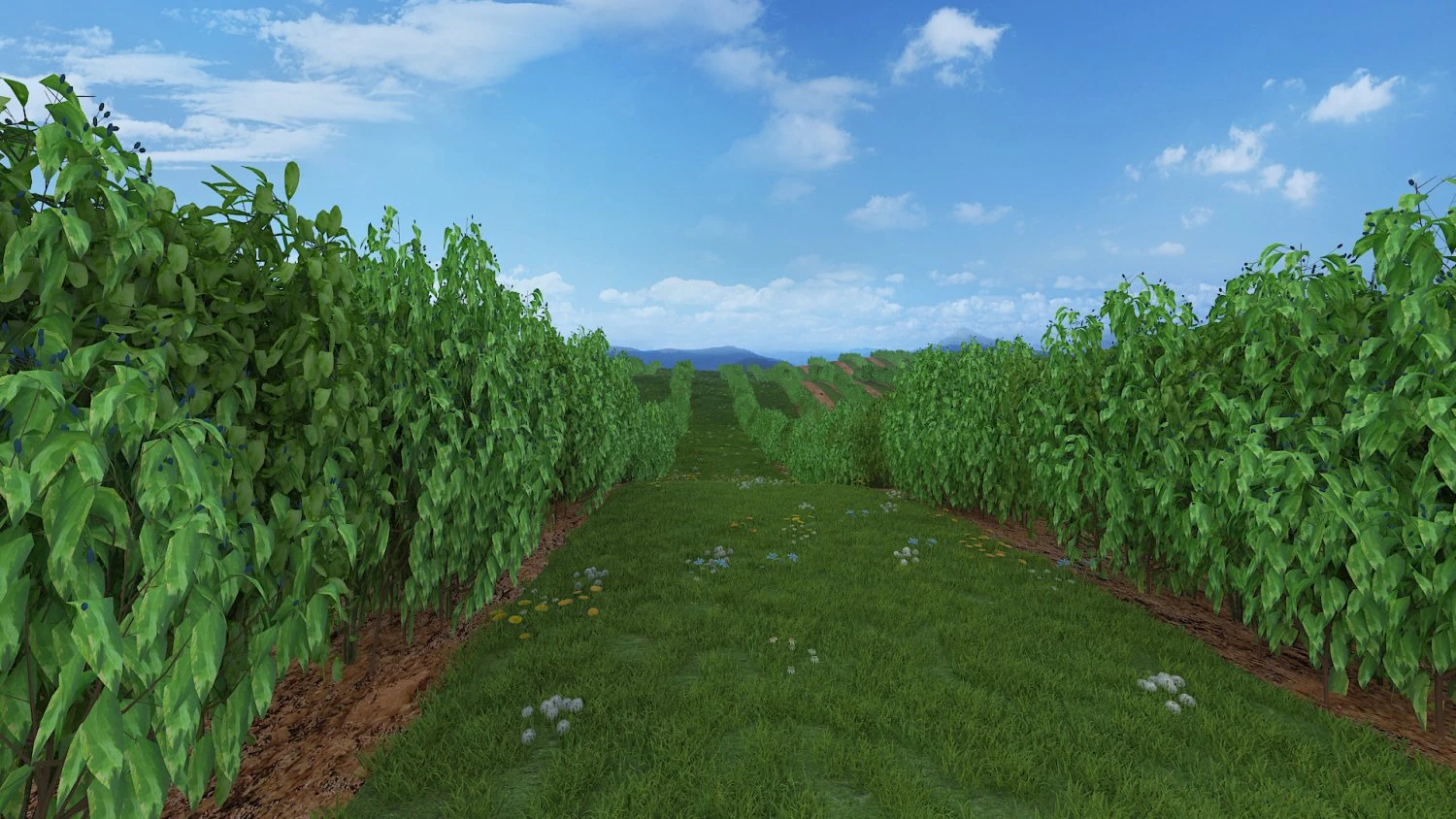 blueberry garden 3D Model .c4d .max .obj .3ds .fbx .stl .blend 