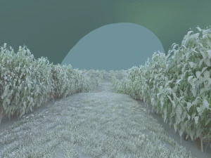 blueberry garden 3D Model
