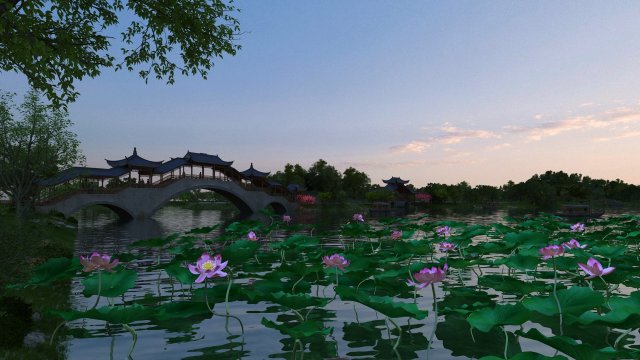 lotus pond 3D 모델 .c4d .max .obj .3ds .fbx .stl .blend 