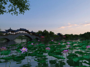lotus pond 3Dモデル