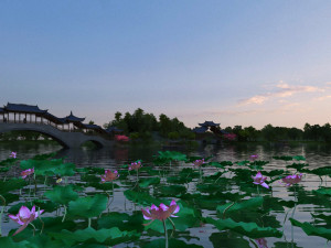 lotus pond 3D 모델