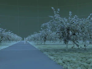 mulberry park 3D Model