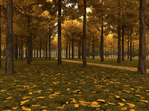 forest Modelo 3D