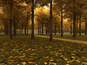 forest 3D-Modell