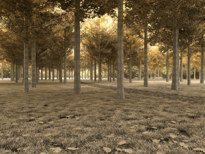 forest 3D-Modell