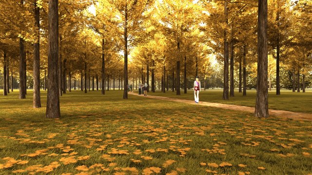 forest 3D Model .c4d .max .obj .3ds .fbx .stl .blend 