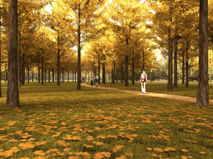 forest 3D Model