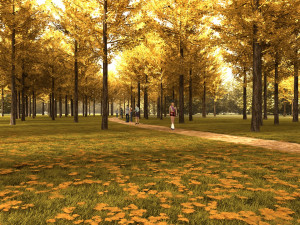 forest 3D Model