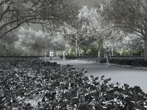 forest 3Dモデル
