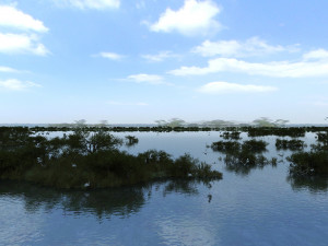 wetlands Model 3D