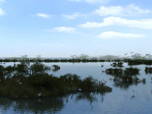 wetlands 3D Model