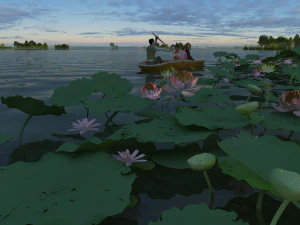 lotus pond 3D Model