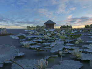 lotus pond 3D Model