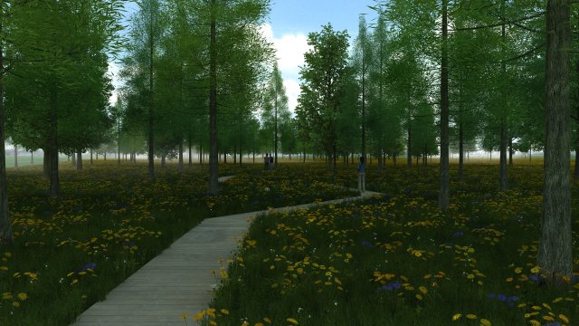 forest Modelo 3D .c4d .max .obj .3ds .fbx .stl .blend 