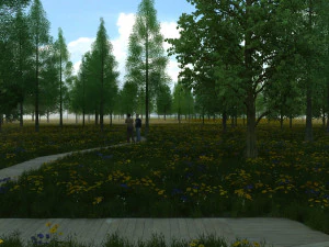 forest 3D Model