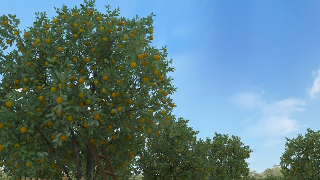 orchard Model 3D .c4d .max .obj .3ds .fbx .stl .blend 