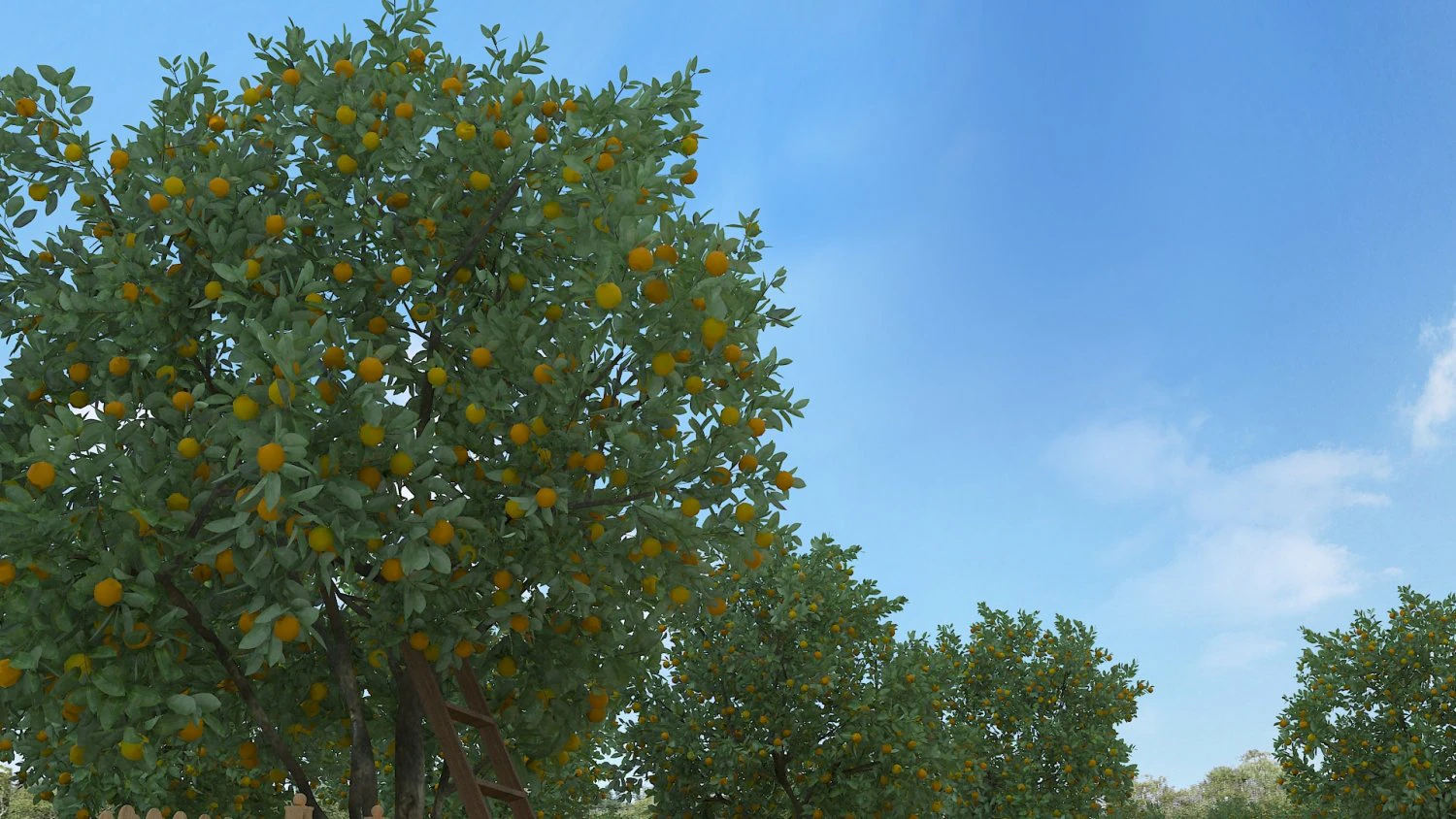 orchard 3D Model .c4d .max .obj .3ds .fbx .stl .blend 
