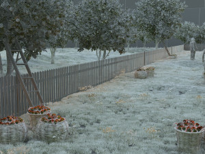 orchard Model 3D
