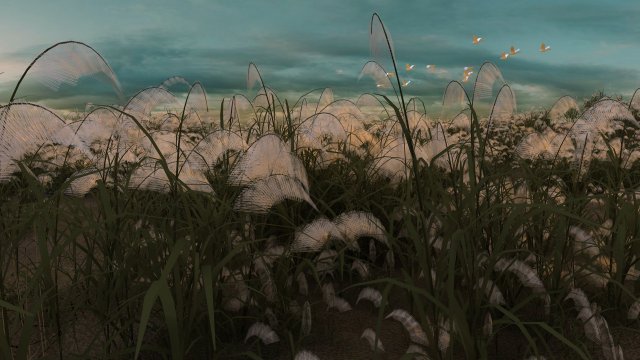 reeds 3D 模型 .c4d .max .obj .3ds .fbx .stl .blend 