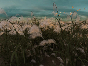 reeds 3D Model