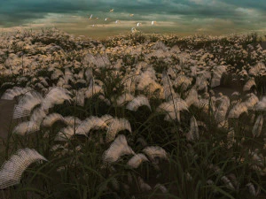 reeds 3D Model
