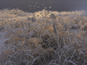 reeds 3D 模型