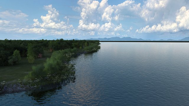 wetlands 3D 模型 .c4d .max .obj .3ds .fbx .stl .blend 