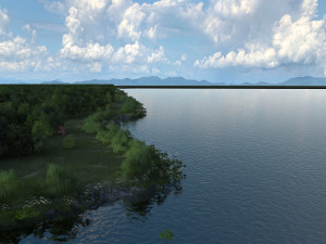 wetlands 3D 模型
