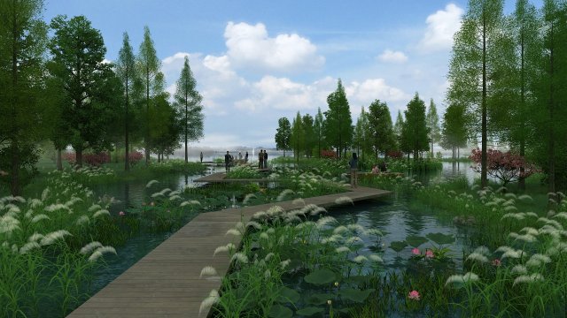 wetlands 3D 모델 .c4d .max .obj .3ds .fbx .stl .blend 