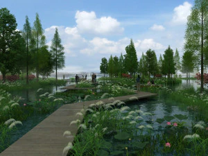 wetlands 3D Model
