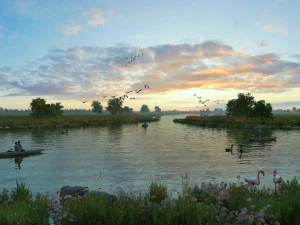 Feuchtgebiete 3D Modell