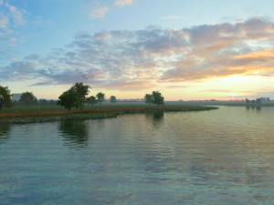 wetlands 3D Model