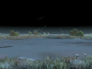 wetlands 3D Model