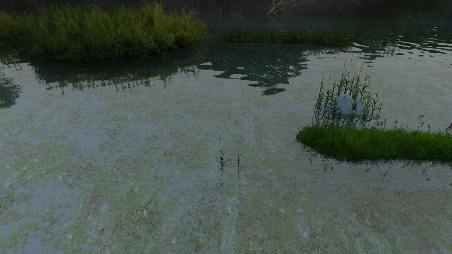 wetlands 3D Model .c4d .max .obj .3ds .fbx .stl .blend 