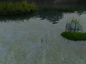 wetlands 3D Model