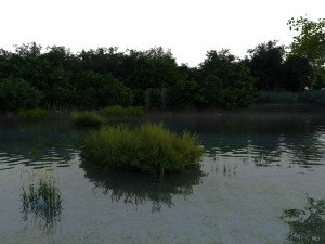 wetlands 3Dモデル