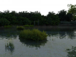 wetlands 3D Model