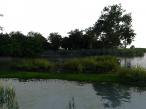 wetlands 3Dモデル