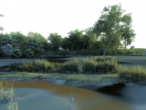 wetlands 3Dモデル
