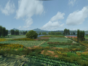 rural Modelo 3D