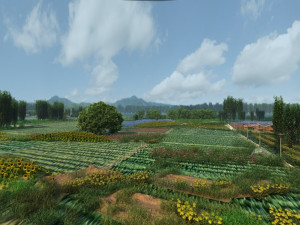 rural 3Dモデル