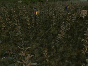 fields of corn 3D Model