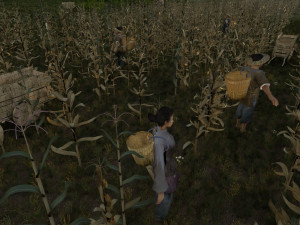 fields of corn Model 3D