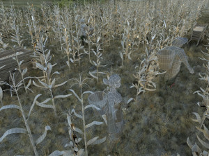 fields of corn Model 3D