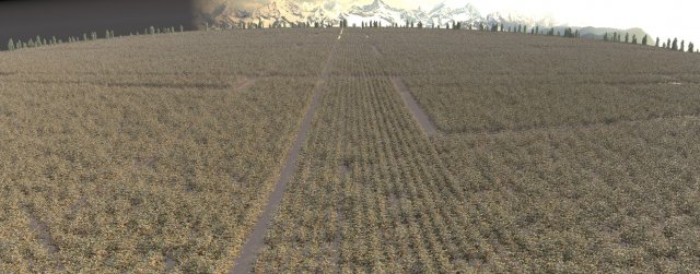 cotton field 3Dモデル .c4d .max .obj .3ds .fbx .stl .blend 