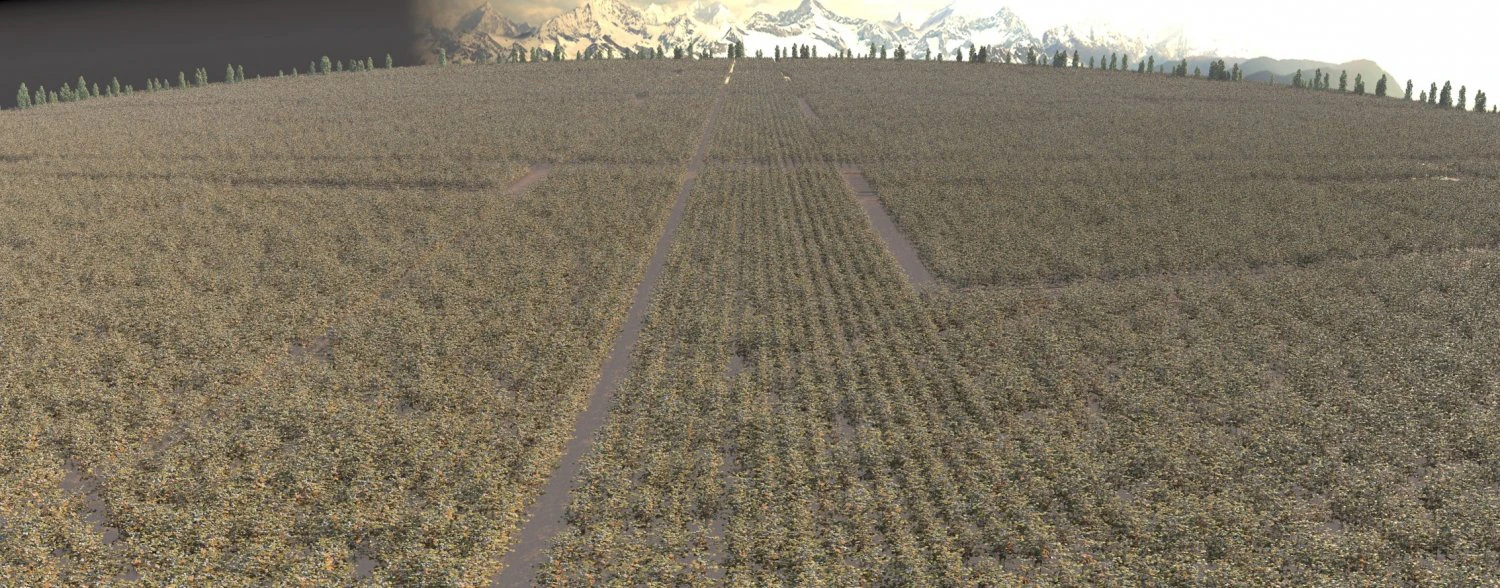 cotton field 3D Model .c4d .max .obj .3ds .fbx .stl .blend 