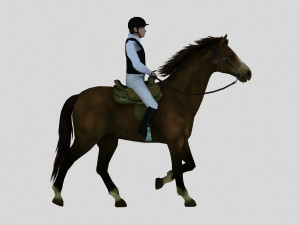 equestrian show 3Dモデル