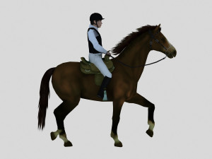 equestrian show 3D Modell