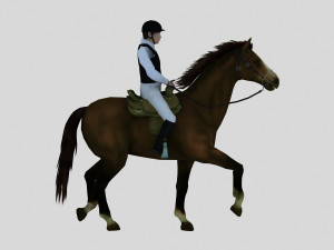 equestrian show 3D Modell